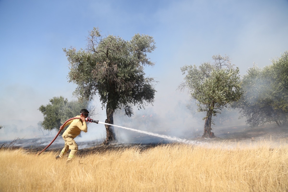 2019森林消防专业怎么样？就业方向与前景分析