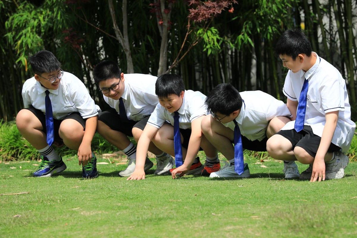 帮我想一个凝聚力活动策划 春游