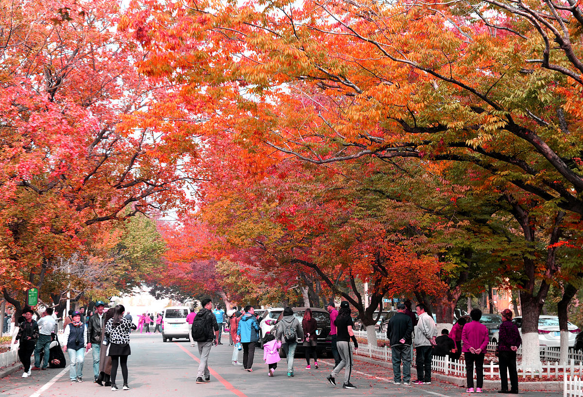 旅顺太阳沟景区发展优势