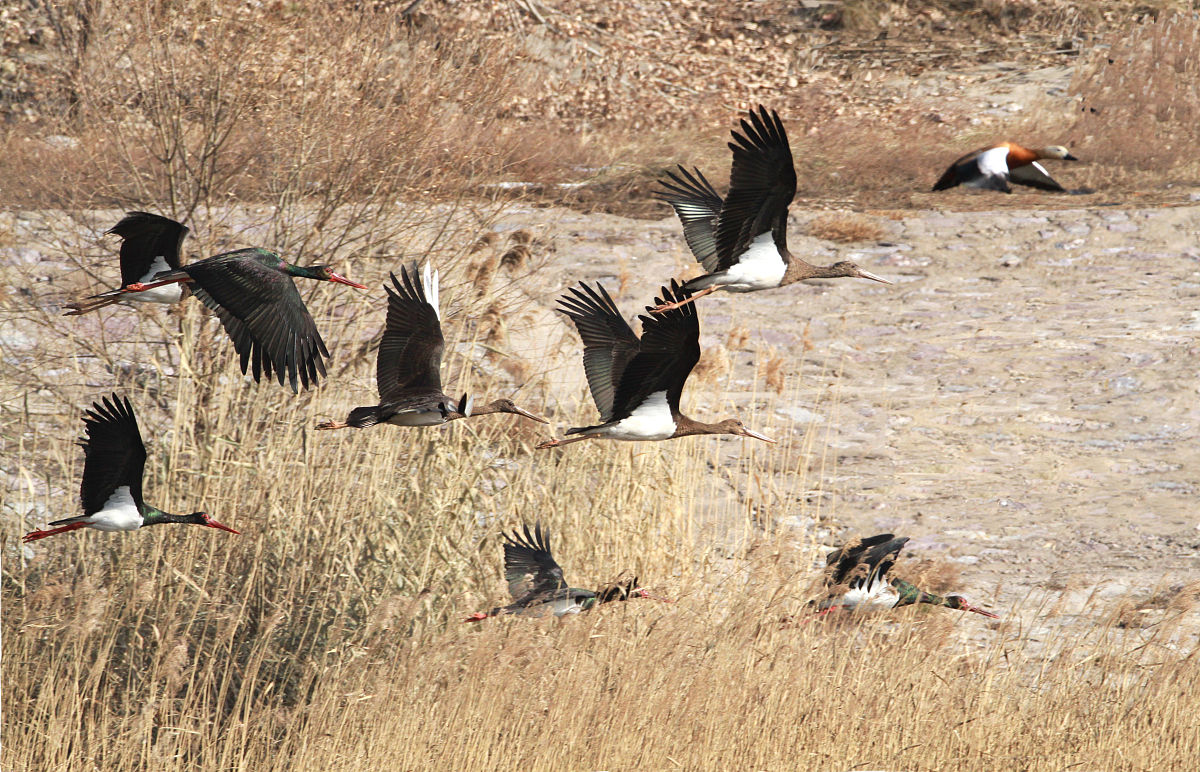 可以再补充一些内容吗