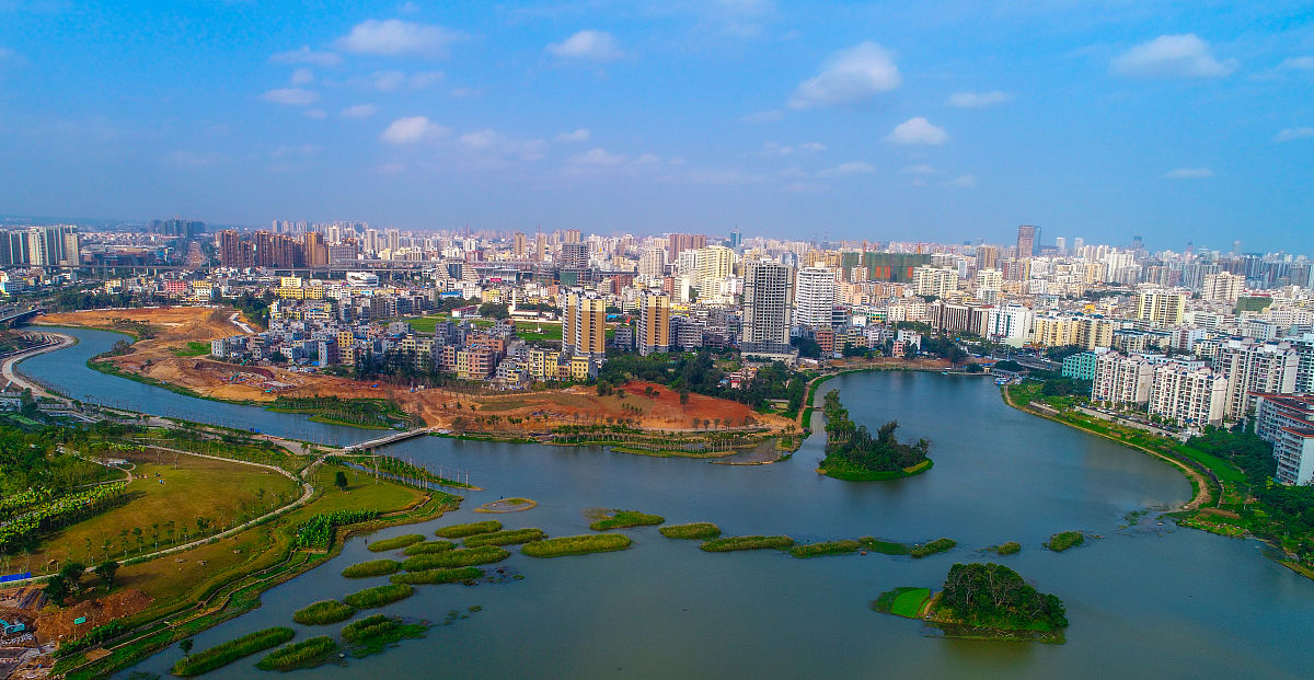 坚强的小树苗 写一篇300字小学作文