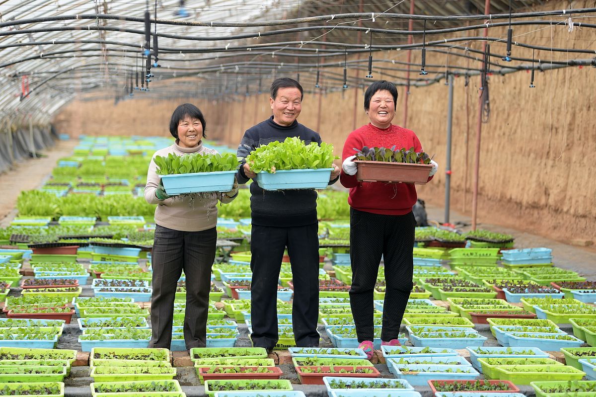 乡镇小本生意推荐：10个适合农村的创业项目