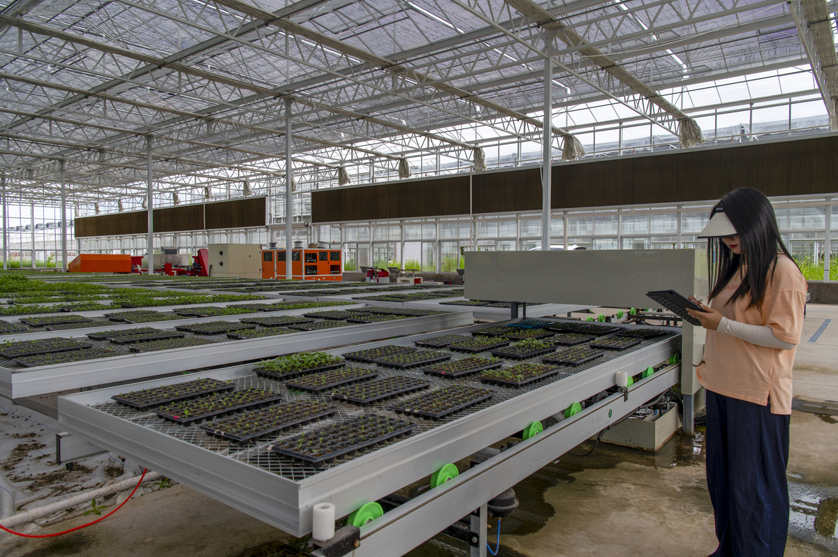 植物工厂设备价格 - 中国市场行情与因素分析