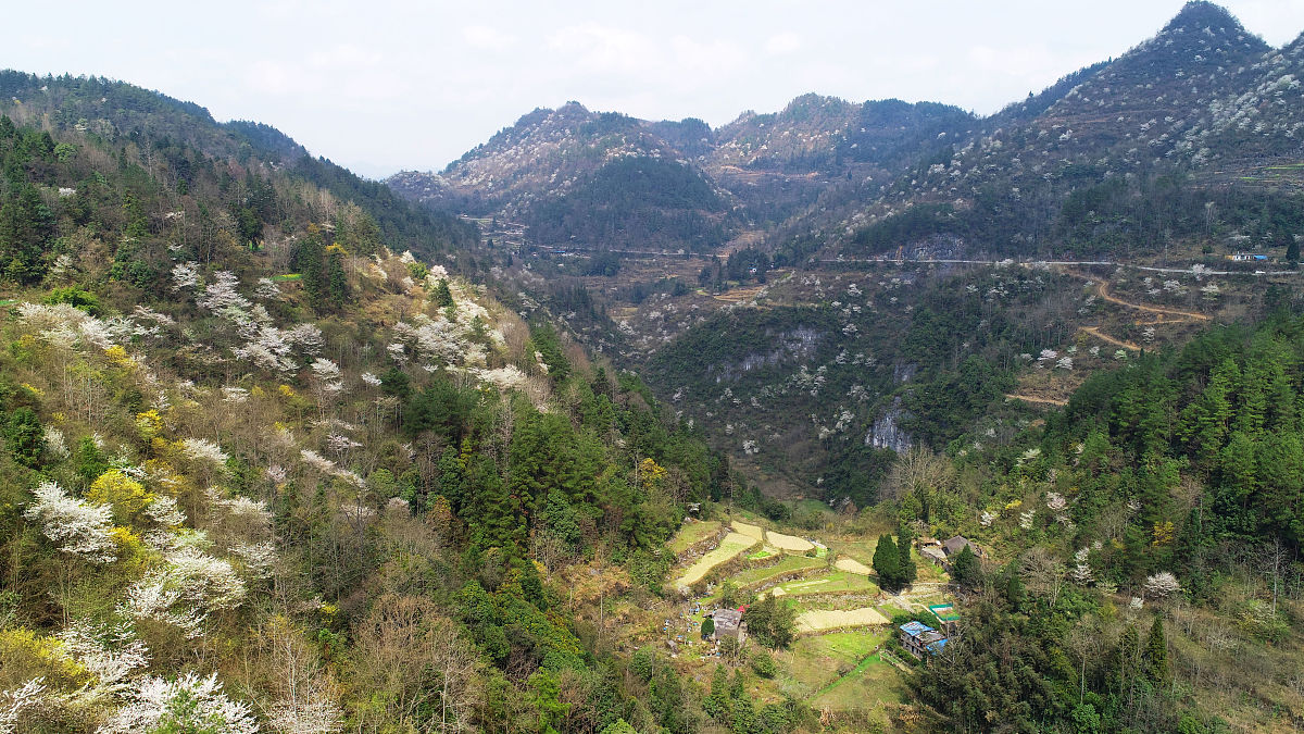 重庆卫校怎么样？2022年教学质量及就业前景分析