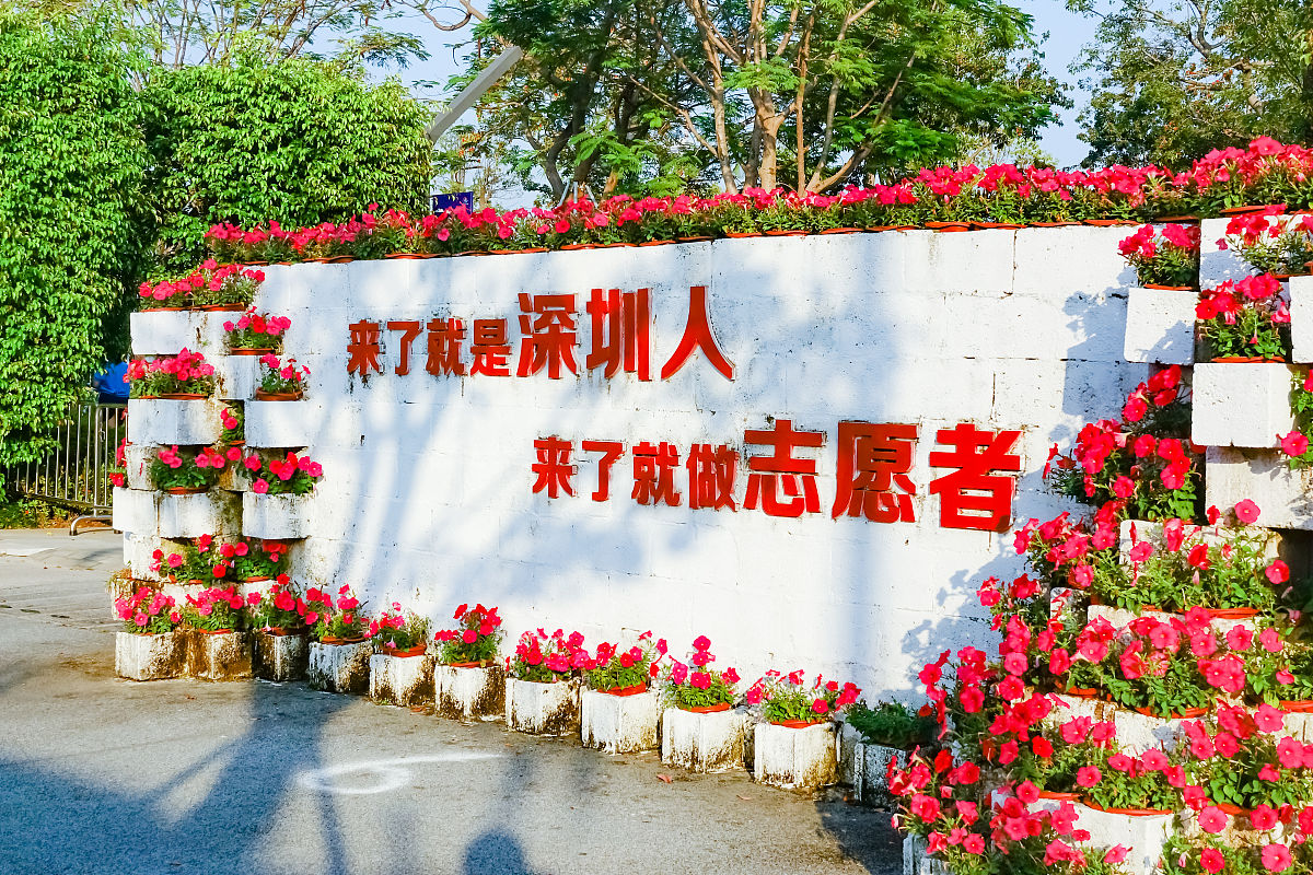 来了就是深圳人：解读深圳文化现状