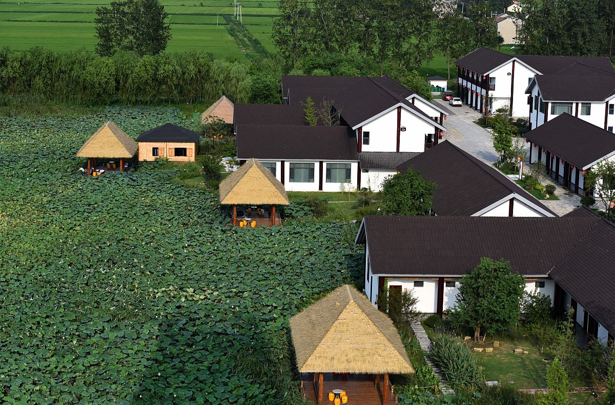 请列举近三年农村建设泛景区化的新闻报道并分别总结每篇文章的主要内容