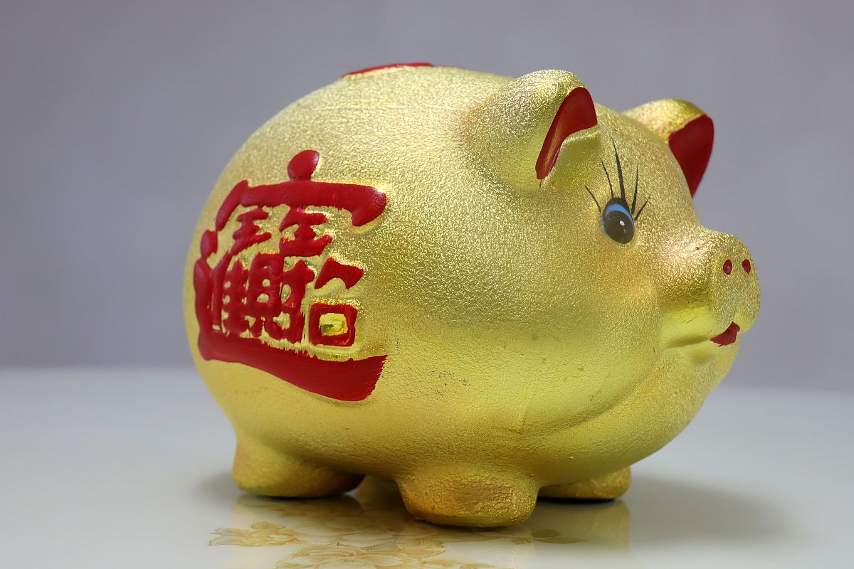 用钱如水是什么生肖 帮我用250字描述