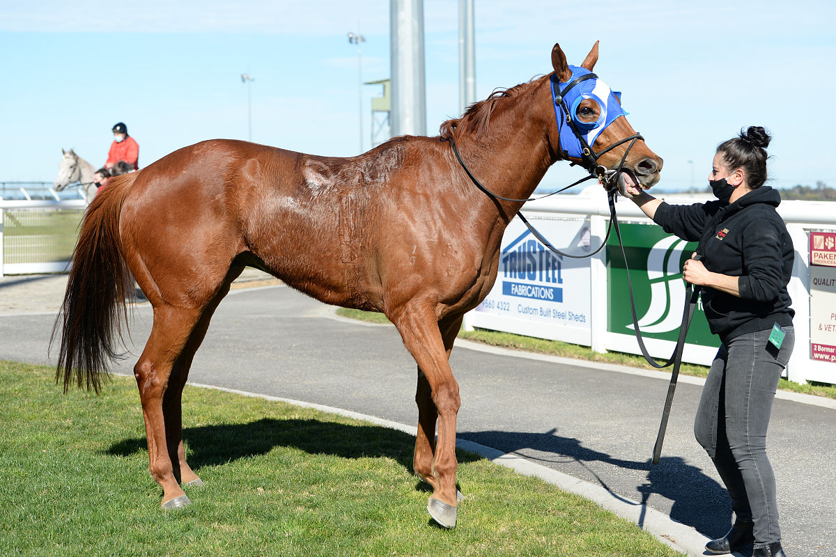 orrong road after winning the pakenham mazda maiden plate at spo