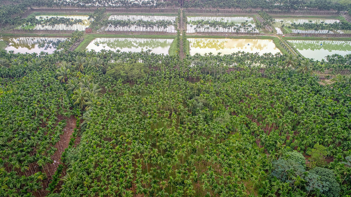 宁夏工商职业技术学院单招药剂专业怎样