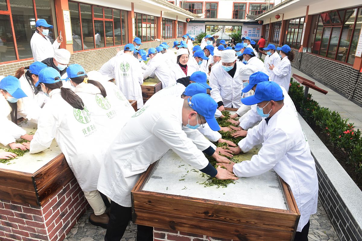 贵阳中医学院应用心理学专业怎么样？值得报考吗？