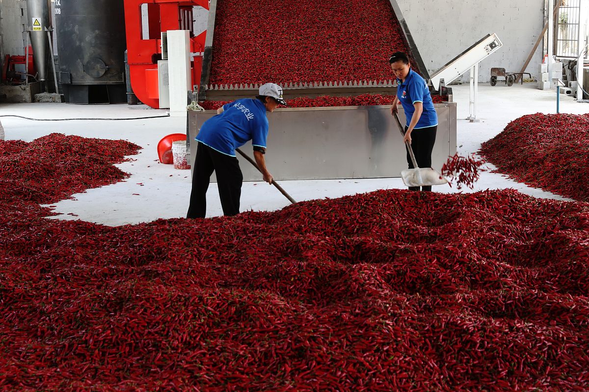 重庆农业幼师学校2022年招生电话-官网联系方式