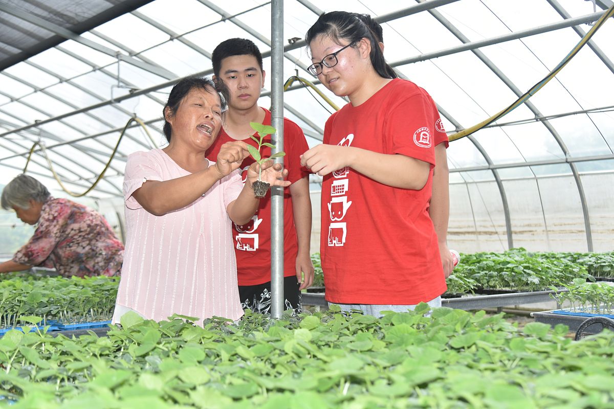 你能帮我想一档有关皖江的农业 科教的电视节目名称吗