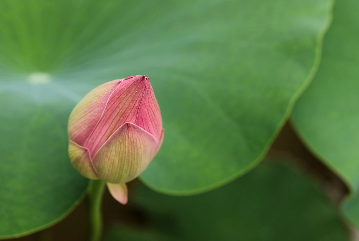 广西中专学校热门专业推荐：2021年就读什么专业好？