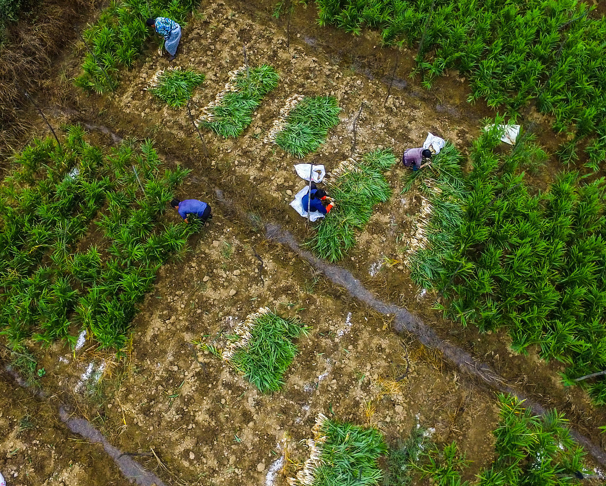 请写一篇传统网游文篇幅在3万字