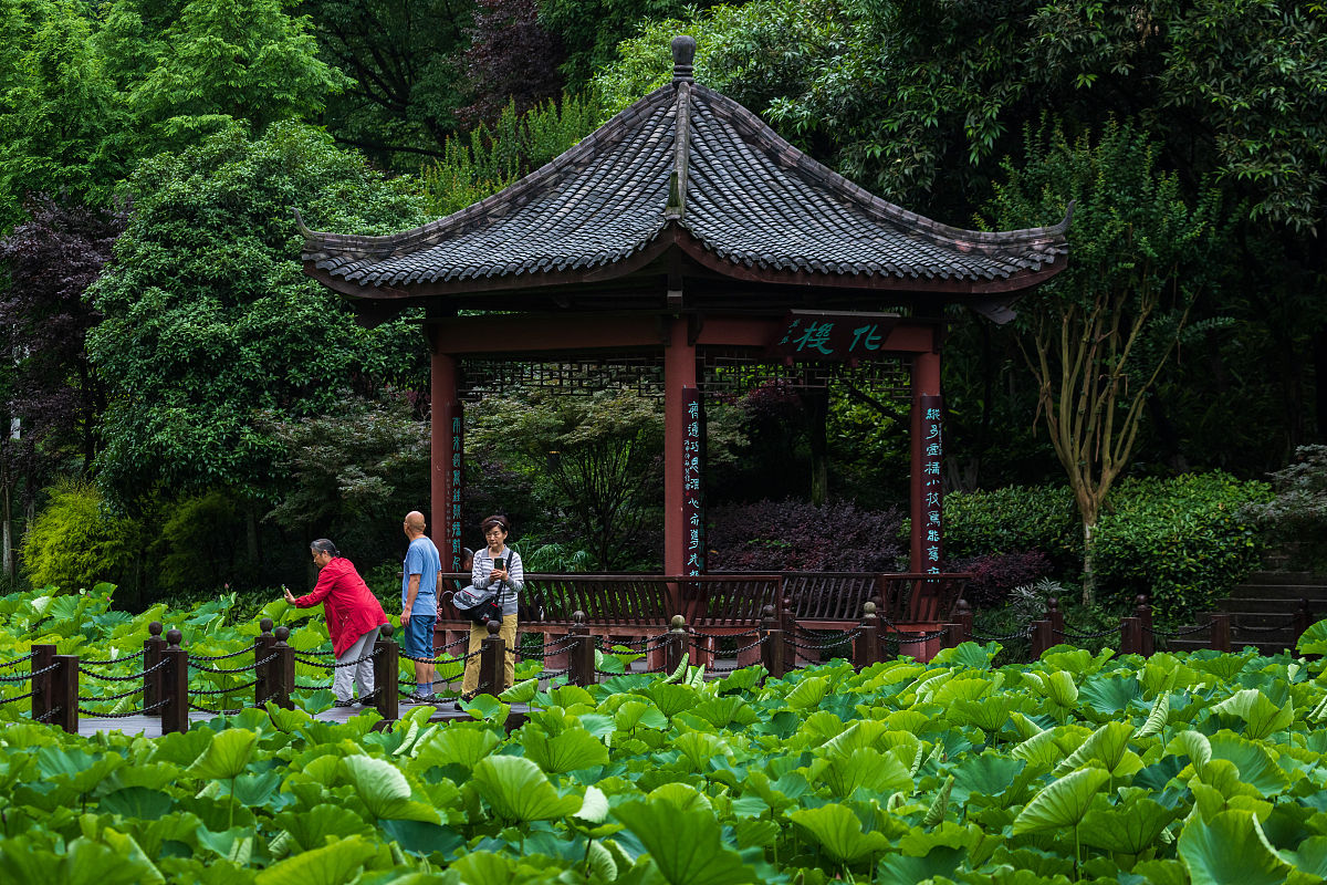 重庆卫校推荐：2020年最佳选择