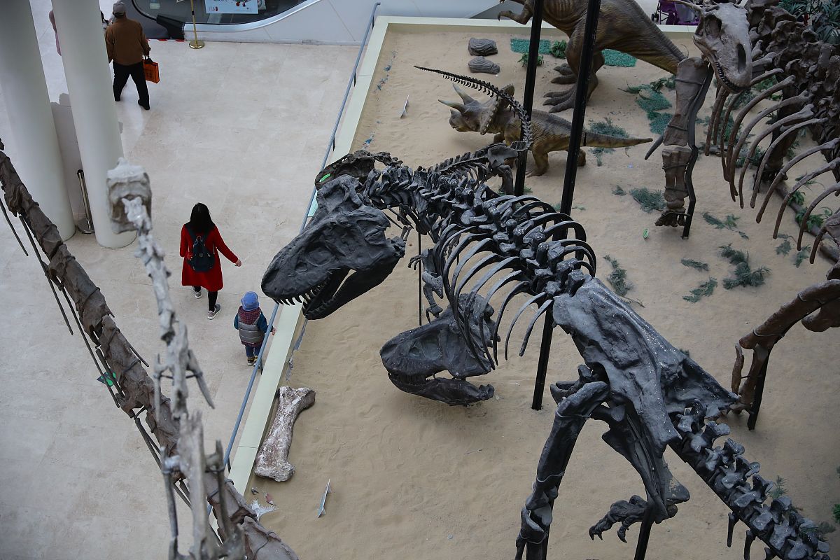 怎么一比一做一个比利时根特大学六足蝎子机器人