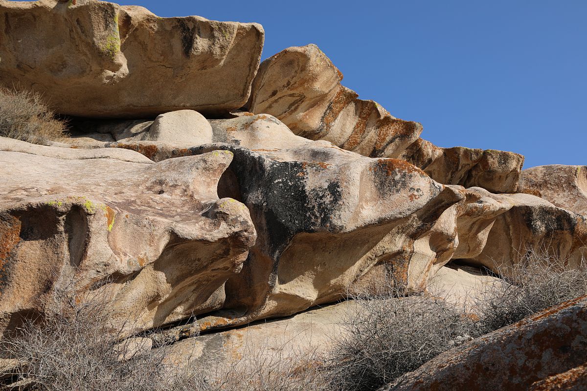 铜仁幼儿师范高等专科学校铜仁市旅游学校2019年招生简章