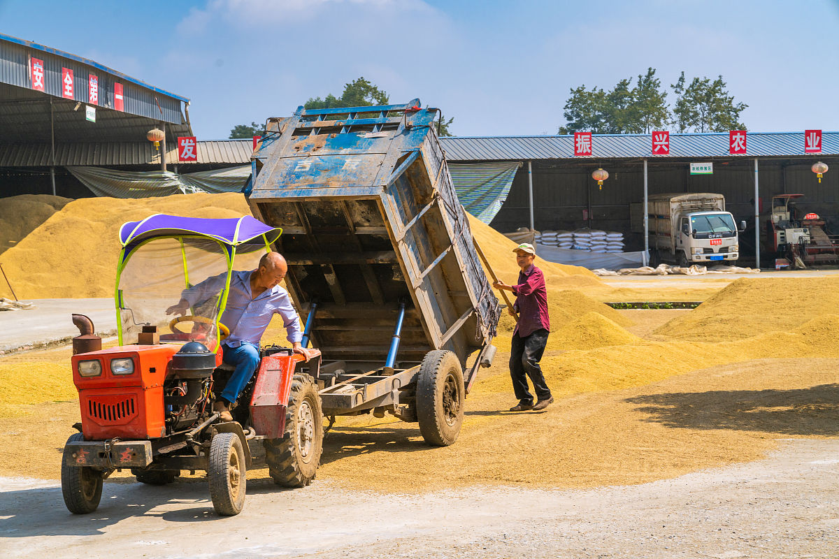 四川中专学校热门专业推荐 | 2022年报考指南