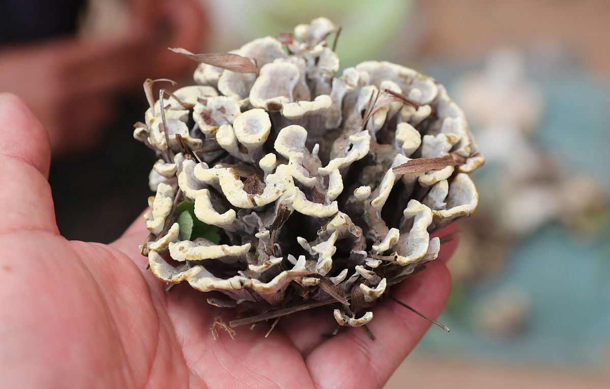 开化土特产批发零售 | 三丫丫精选优质农产品