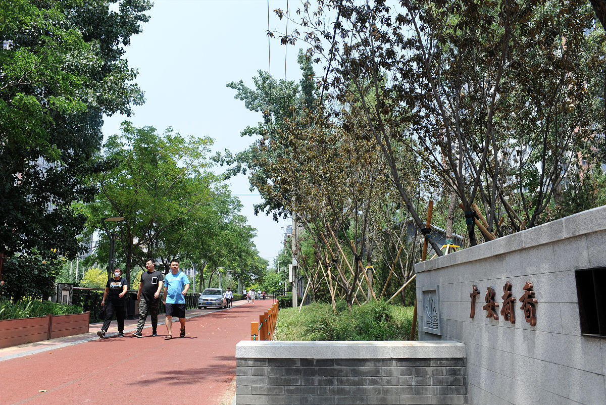 上海绿地养护补贴政策有哪些文件