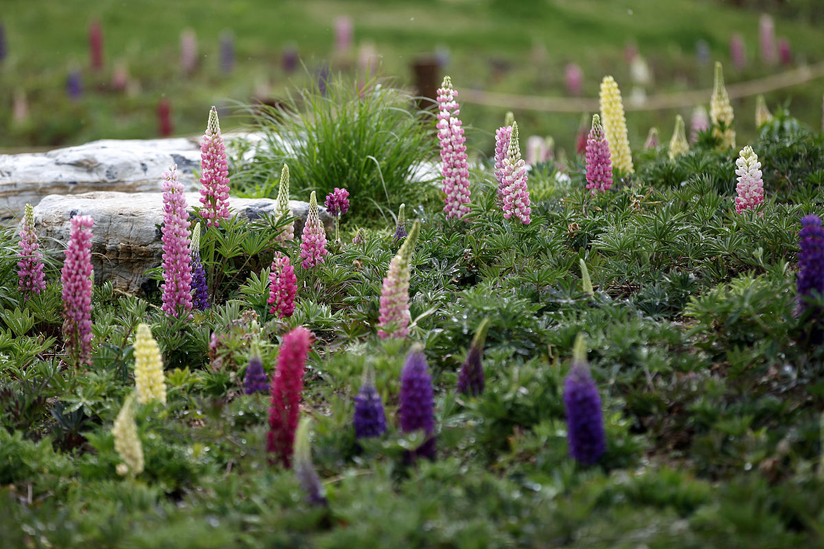 2020五一学校放假吗