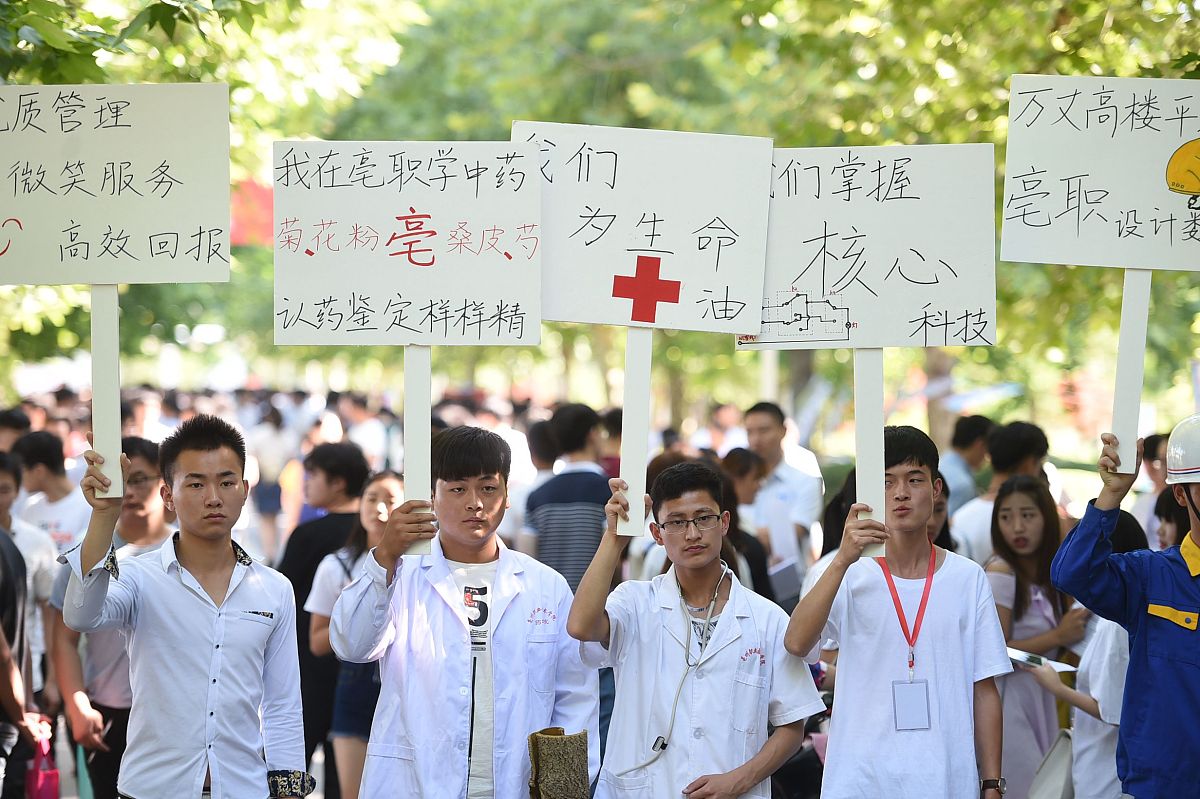 杨凌职业技术学院的饲料与动物营养专业前景如何