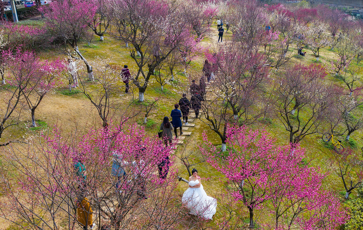 安徽合肥曝光求助热线：12345，最管用的曝光平台推荐