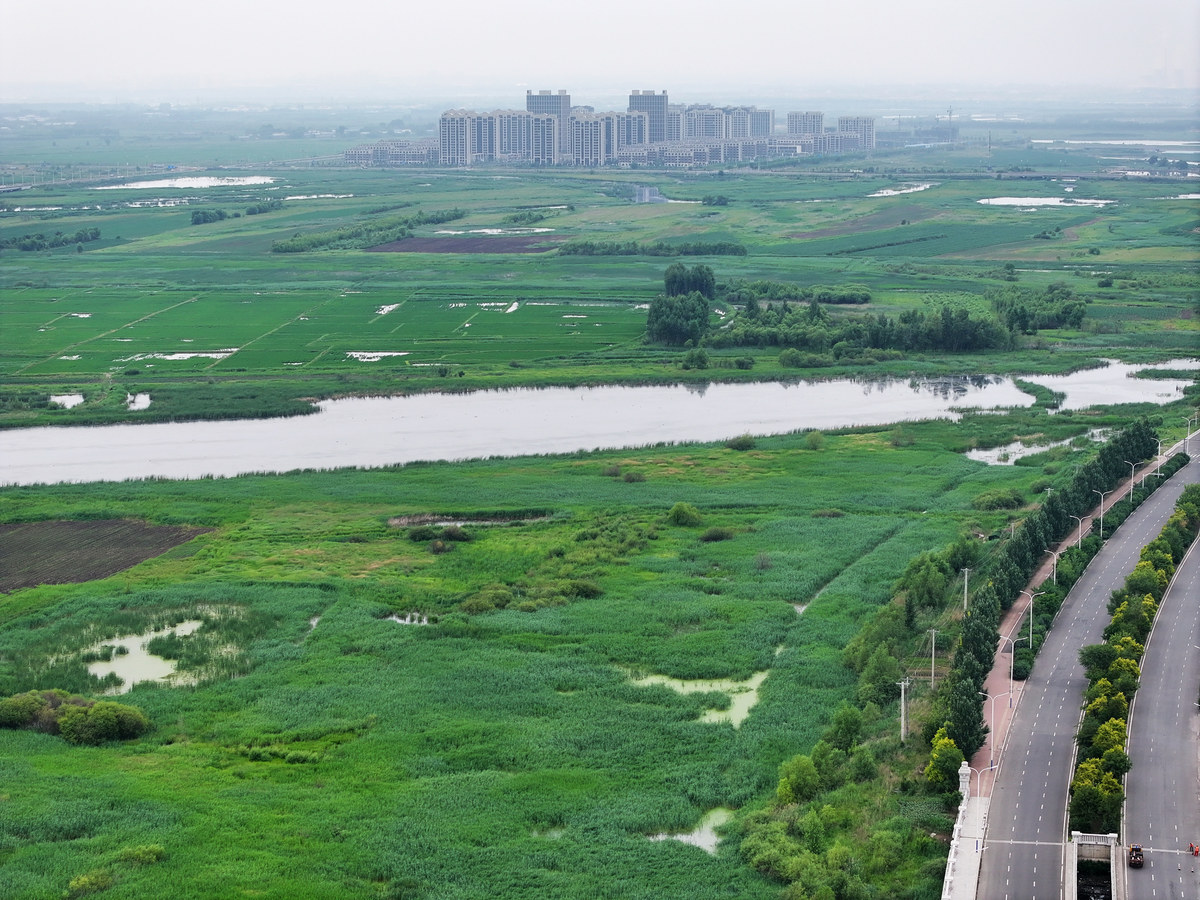 南湖采煤沉陷区治理：风景园林引领城市转型