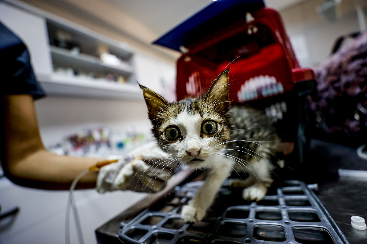 贵州省畜牧兽医学校2021年招生简章 - 报名电话、地址、网址