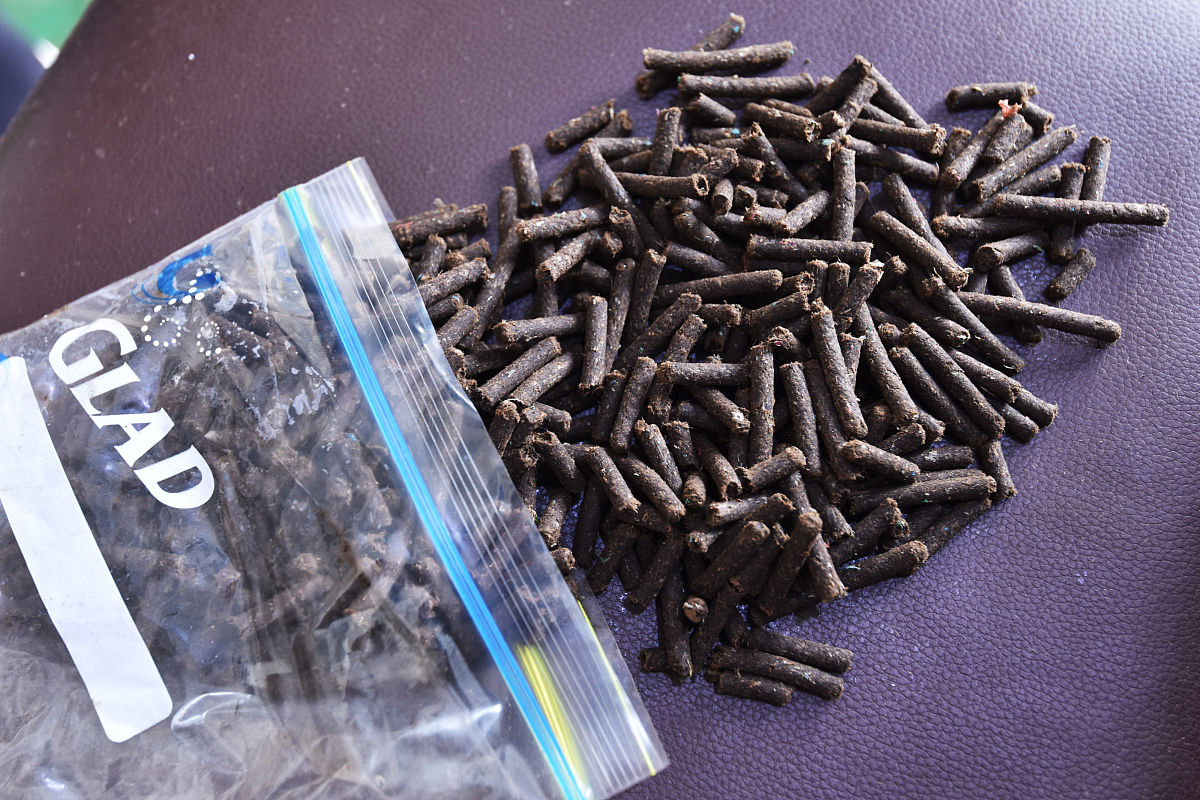 甘肃工业职业技术学院宝玉石鉴定与加工专业可以选择哪些就业方向