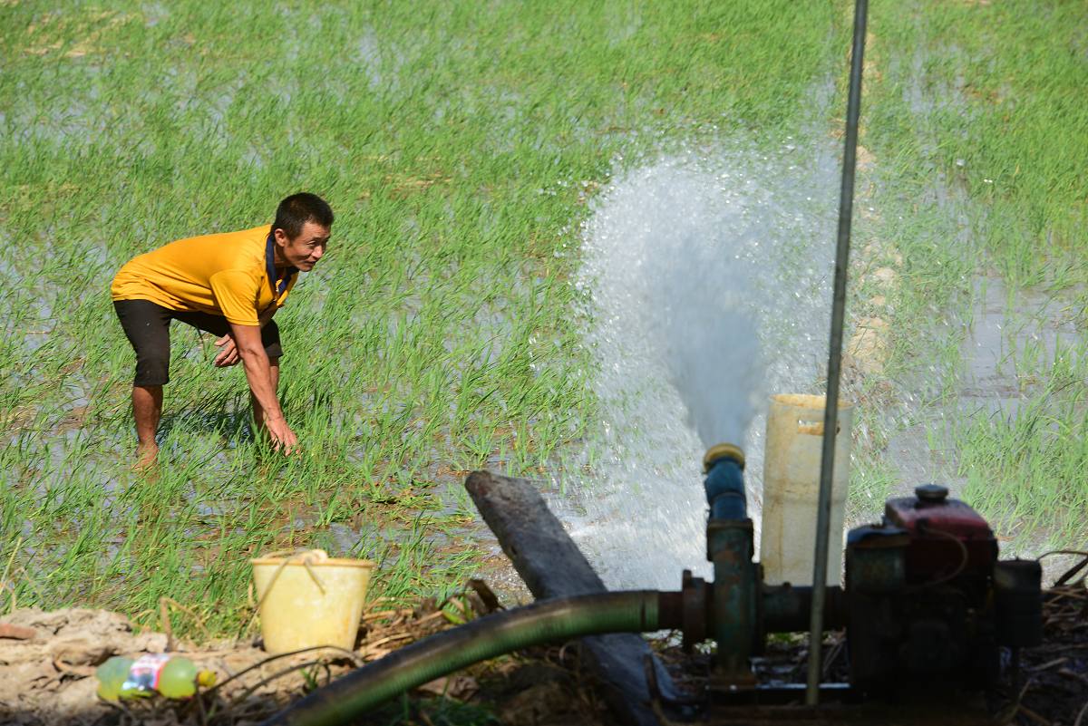 农业与农村用水专业详解及就业方向