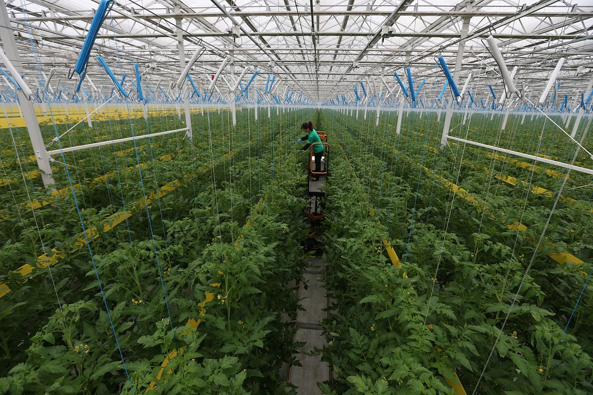 四川农业广播电视学校2020年春季招生简章 | 报名时间、专业、条件