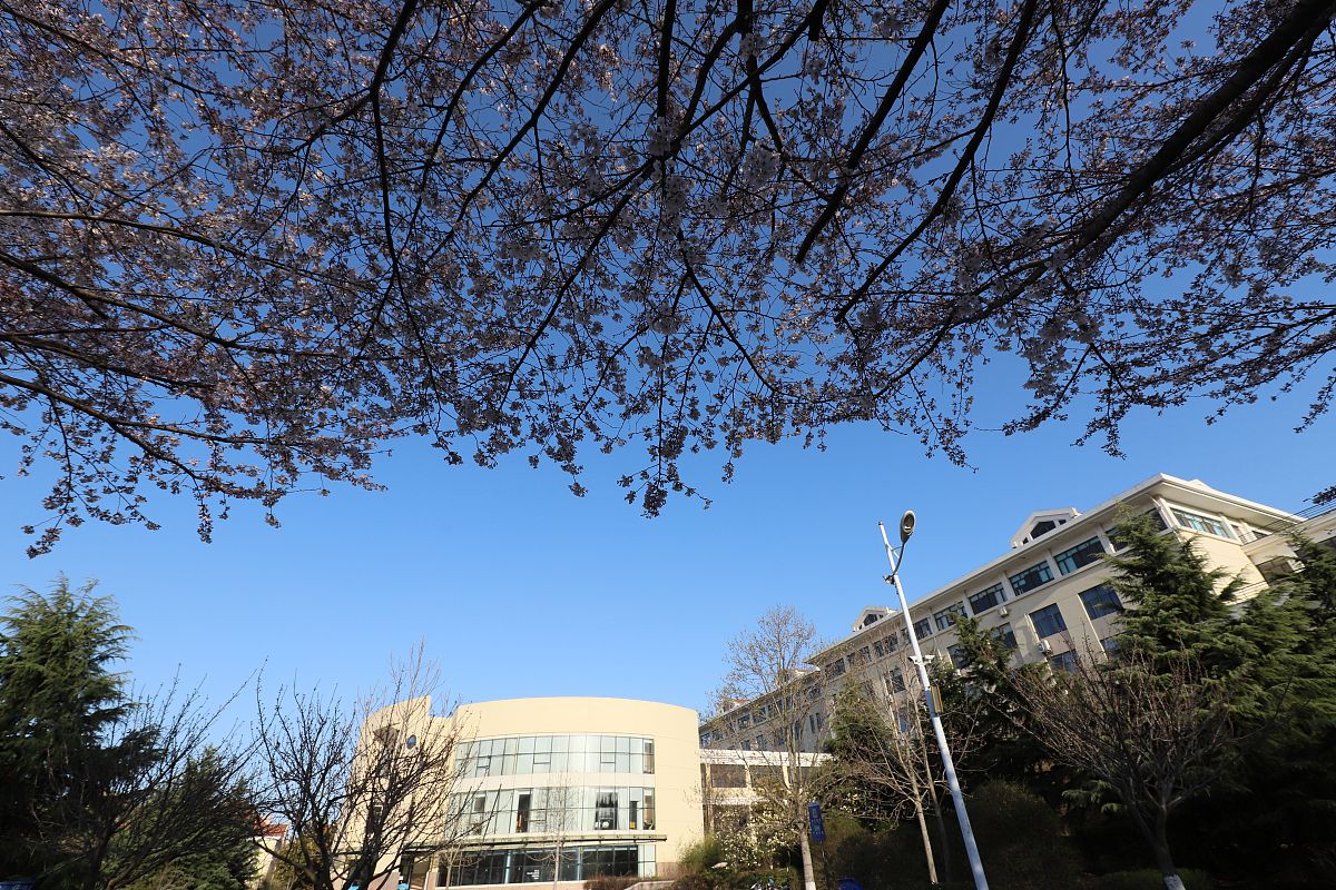 山西财经大学农林经济管理专业怎么样？就业前景、课程设置及师资力量解析