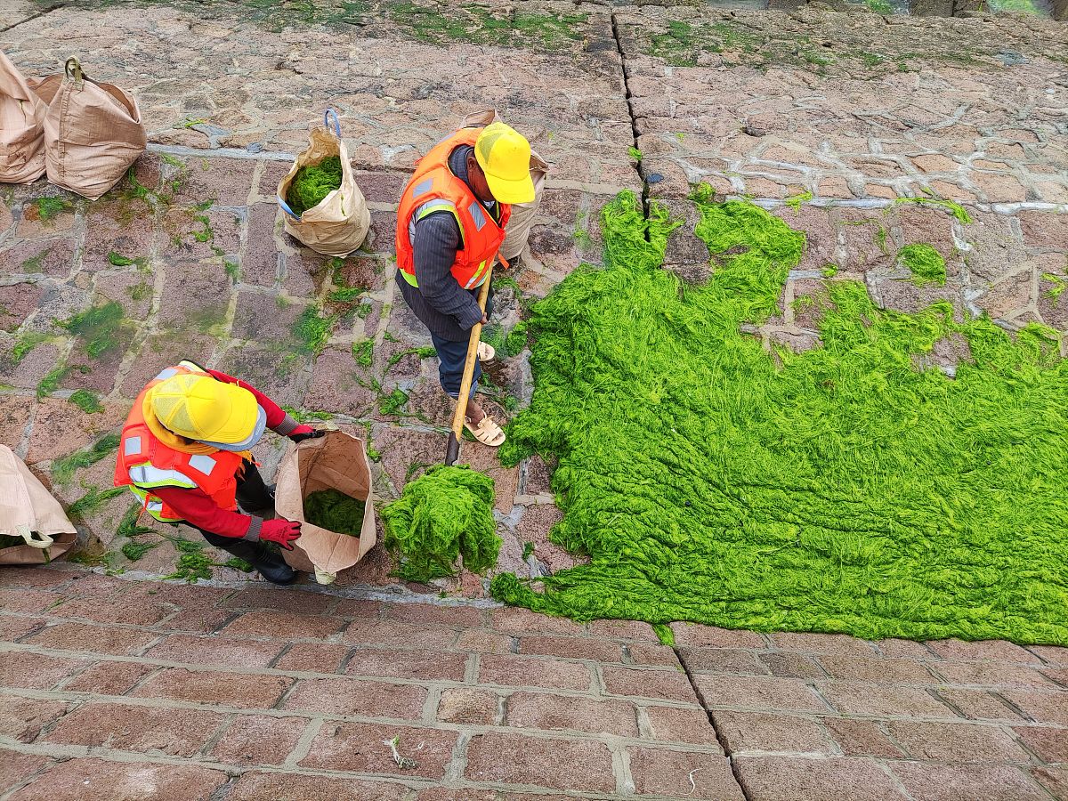清除练习网苔藓：员工工作辛苦，需要协助？
