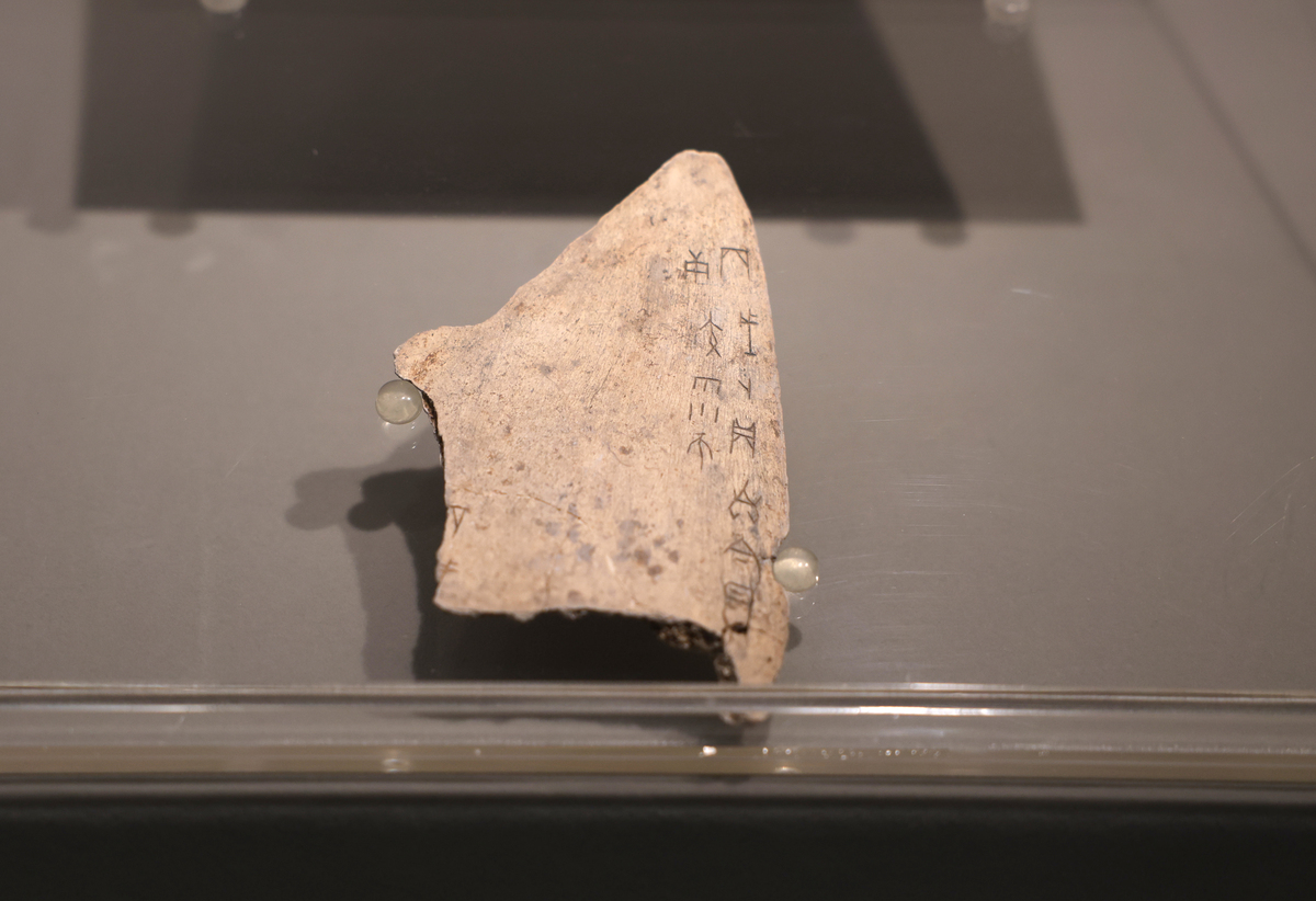 河姆渡遗址位于