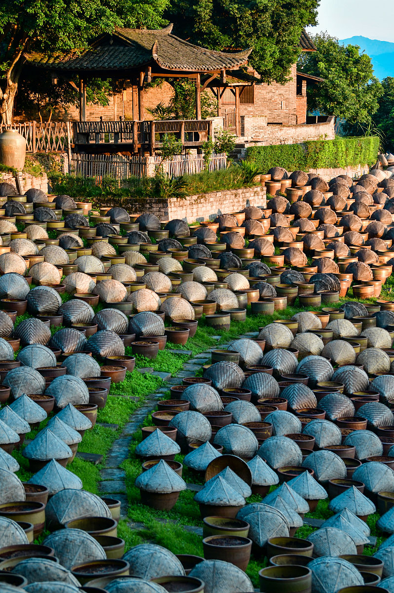 泸州职高学院排名？职校排名情况