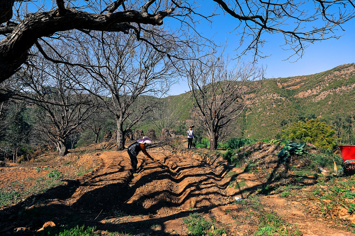 云南卫校数量统计：2021年共有20所卫校