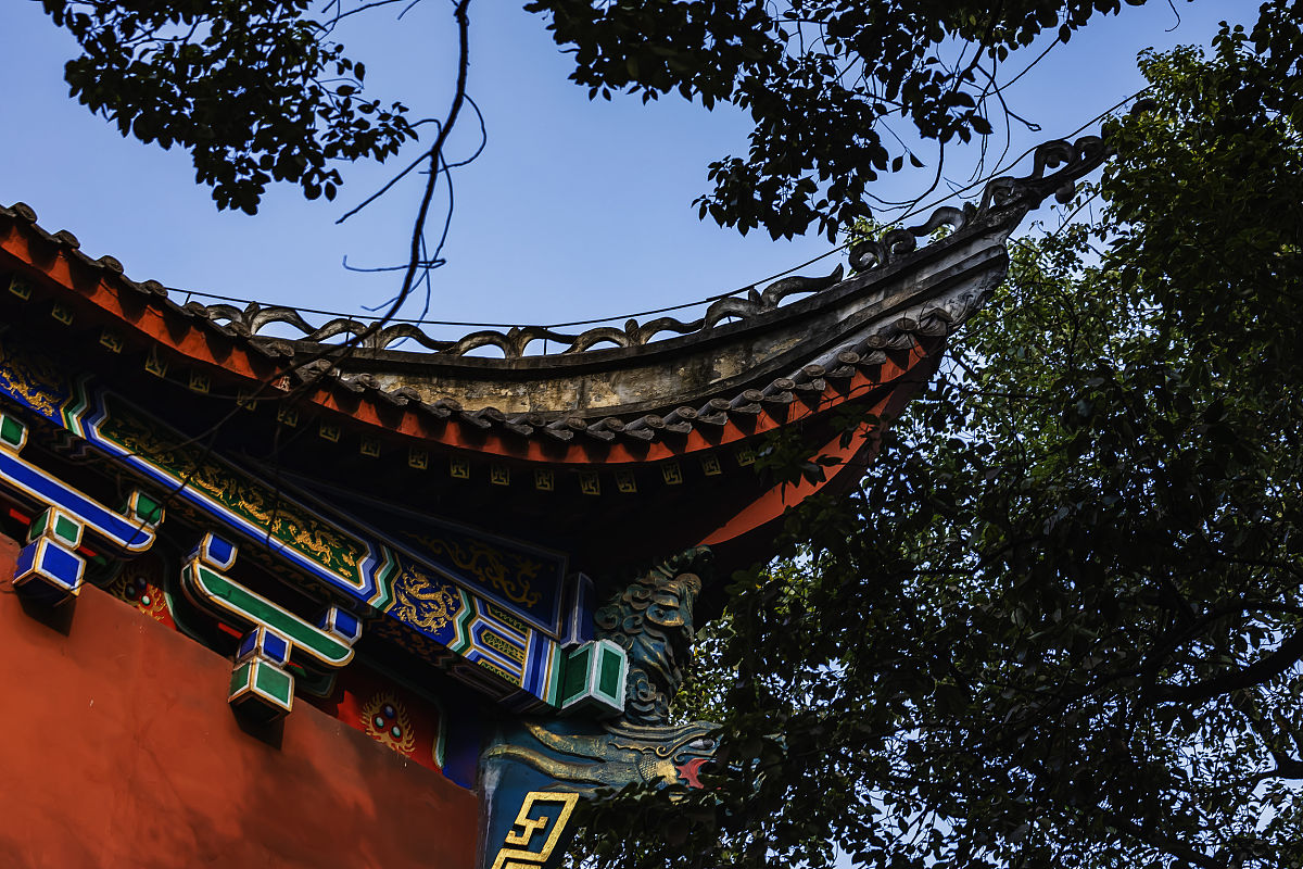 2020年重庆旅游学校影视艺术与多媒体技术招生联办类