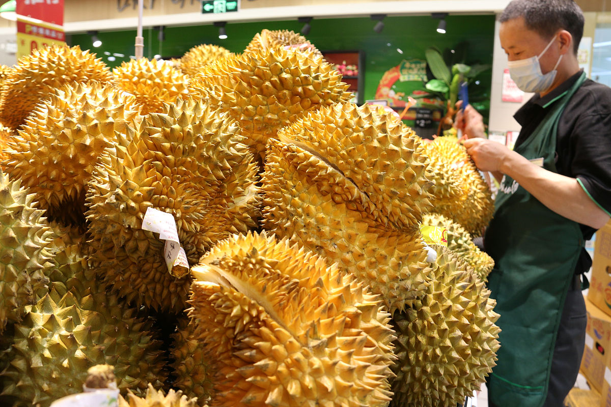 在中国榴莲的价格非常高昂它的价格主要受什么影响？是因为营养价值很高还是它的成本很高呢？包括运输成本种植成本等