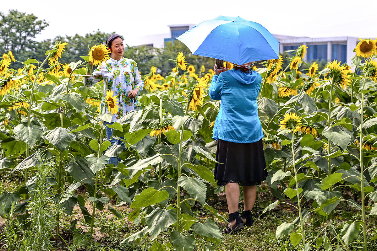 江苏2023年初中毕业可以考什么中专学校