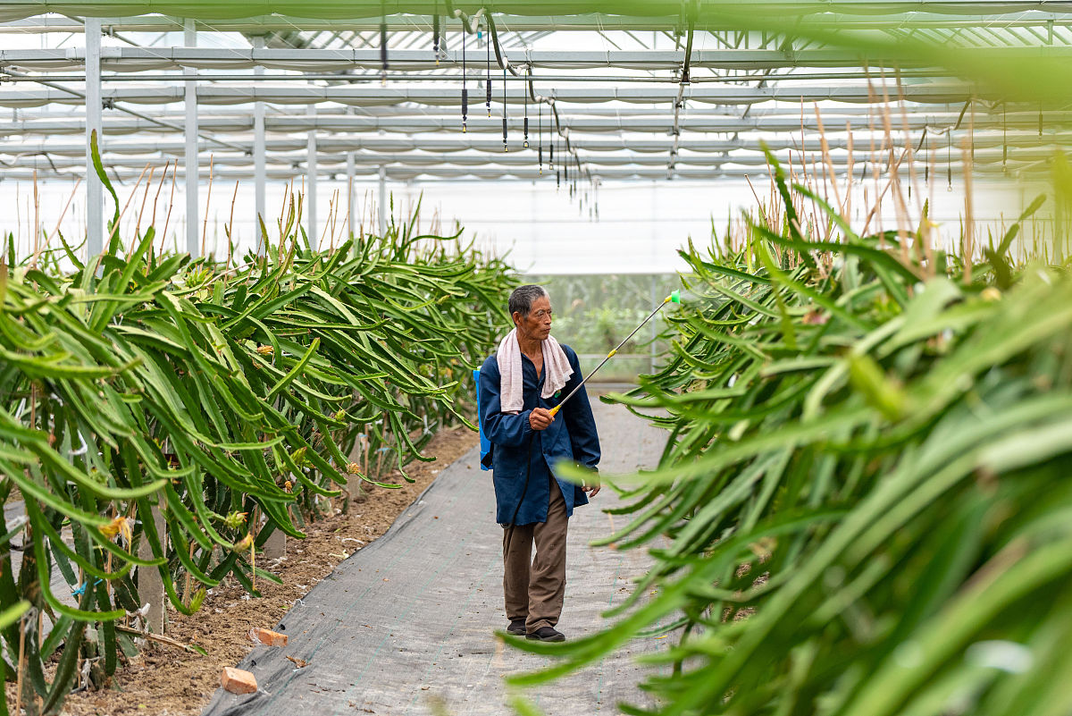 磷酸钾氯的化合价