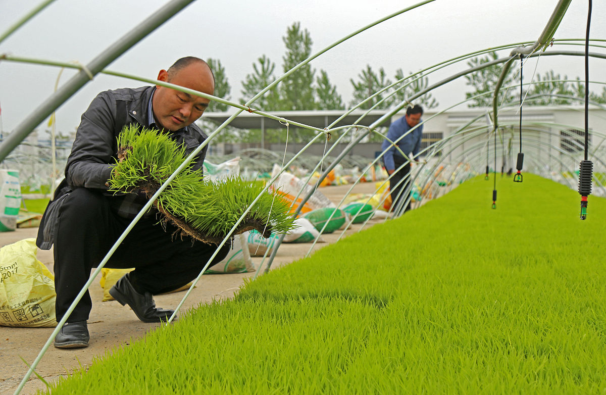蒙自中等农业机械化技术学校怎么样？教学质量及学生培养分析