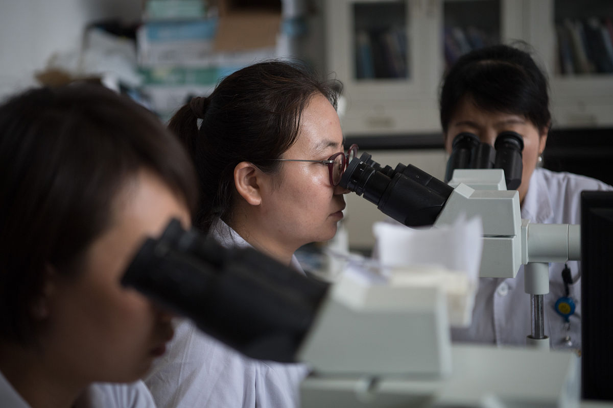 区分肝细胞癌与正常细胞有什么研究意义