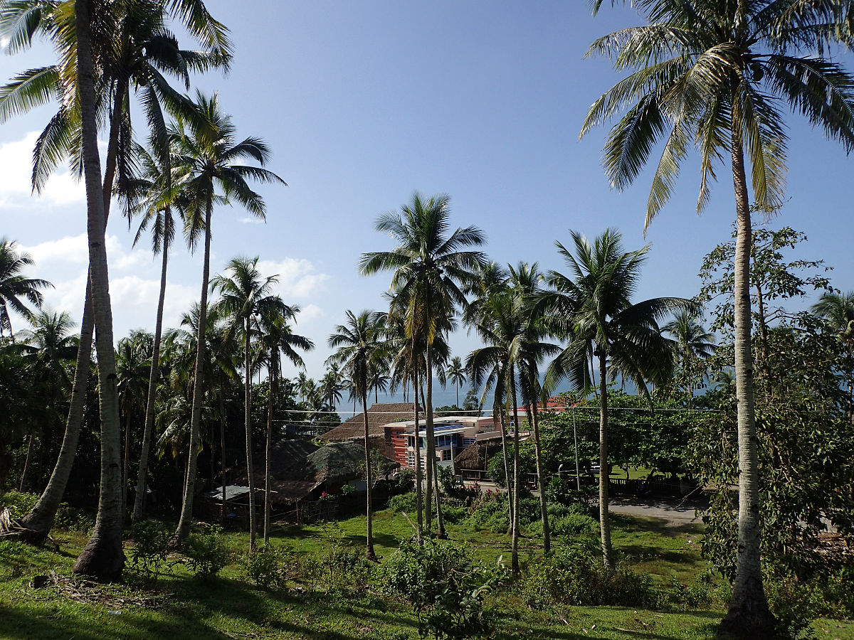 初中生要多少分才能报读成都市高铁学校的乘务专业？