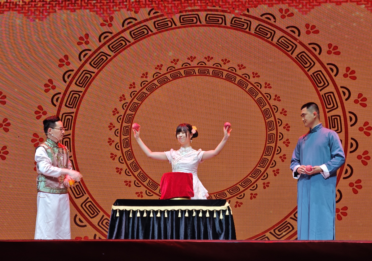 国家非遗项目类型