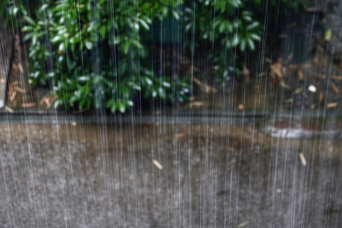 2020 年梅雨季节什么时候开始？ | 详细解读梅雨季节特点和影响