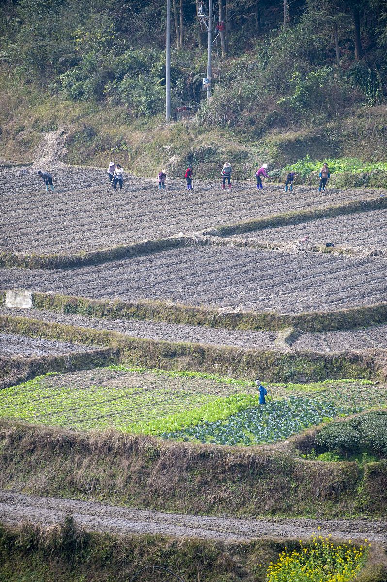 贵州2023年中专学校热门专业推荐 - 未来职业规划指南