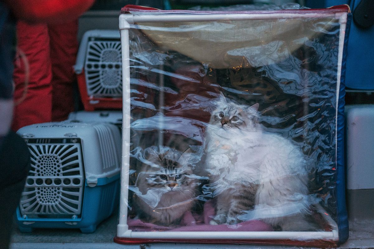 襄樊航空工业学校3+2五年制大专招生简章 - 培养航空工业人才的摇篮