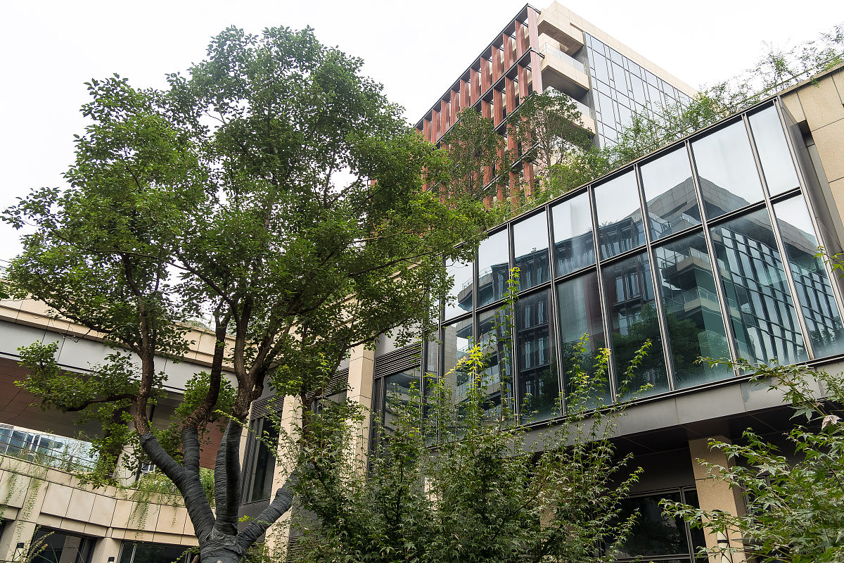 山东职业学院物流管理专业如何好学吗