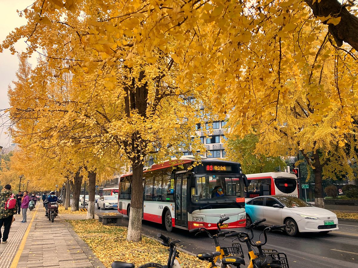 成都信息工程大学银杏酒店管理学院酒店管理(专科)专业介绍 - 2020